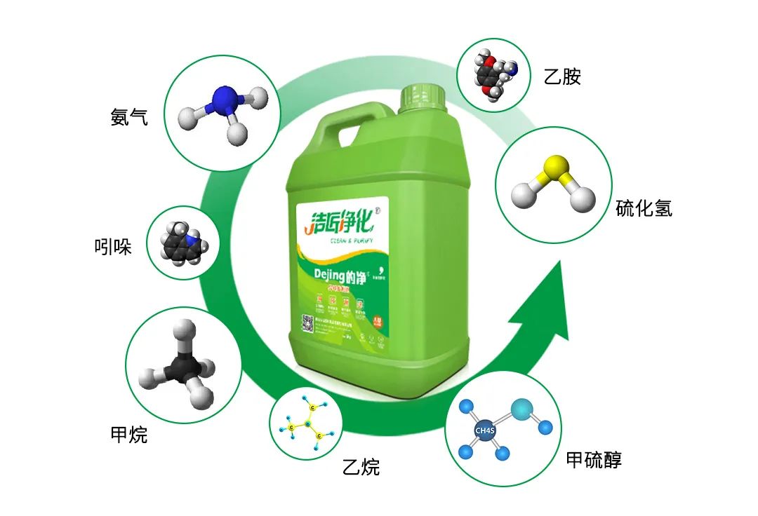 動(dòng)物無(wú)害化處理廠，惡臭異味危害大，<a href='/' style='color: blue;' target='_blank'>工業(yè)除臭劑</a>起作用！.jpg