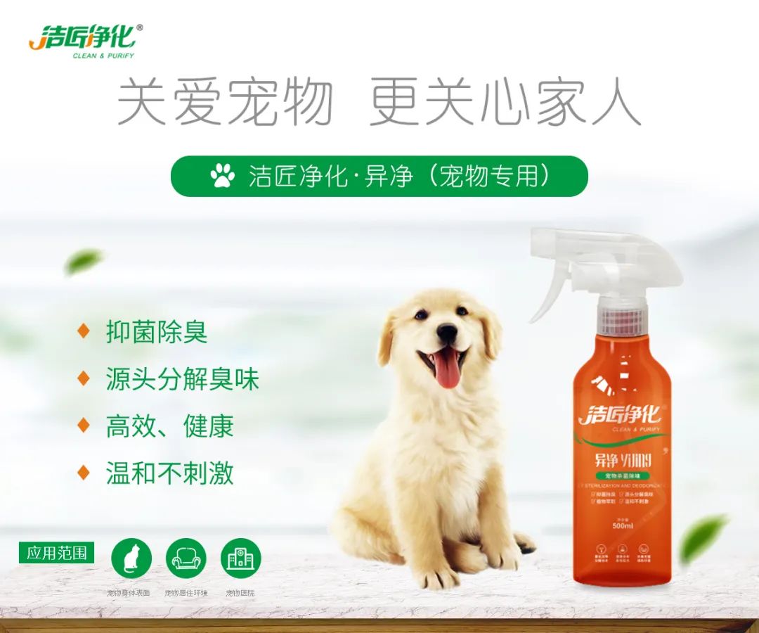 寵物氣味彌漫整個(gè)屋子，潔匠凈化教您如何除味